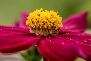 magda-pawluczuk-6fVCfBMdAok-unsplash